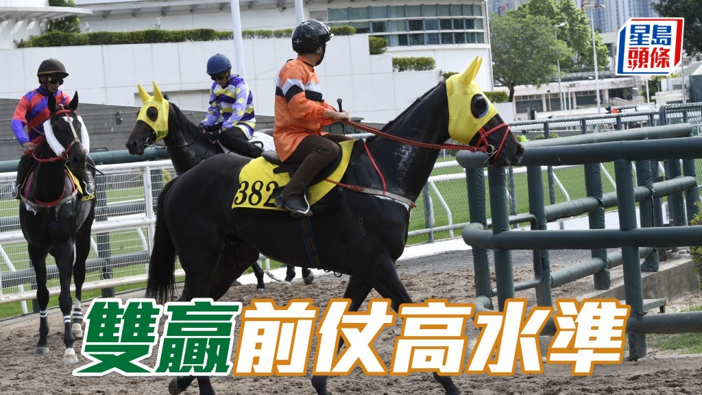 「雙贏」上季尾連場搏殺都欠運，計實力在四班有力一拼。