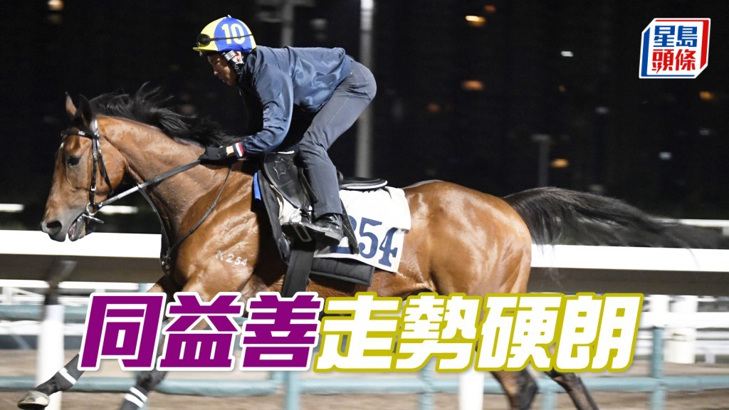 「同益善」轻描淡写完成，马身愈收愈札实。