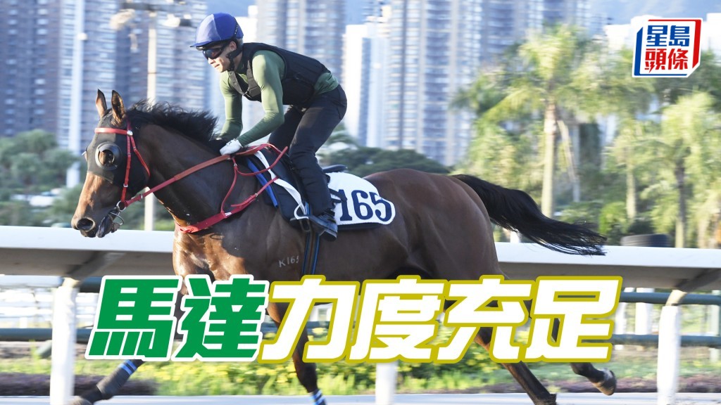 「馬達」馬身好靚毛色油潤，火力充足不遜贏馬時。