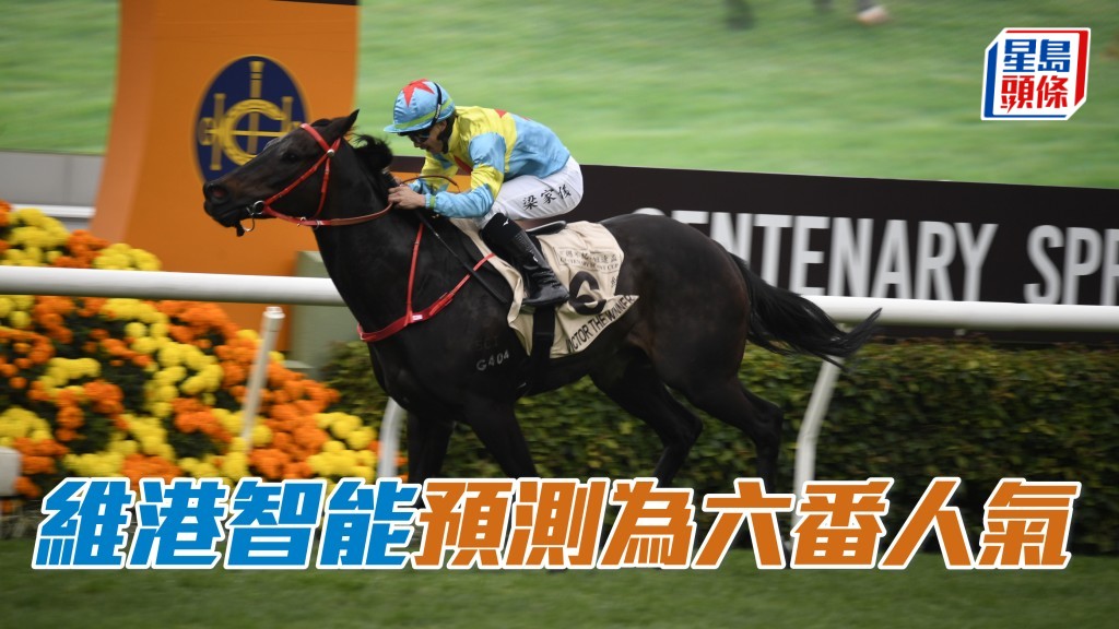 香港赛驹「维港智能」预计是十二点八倍第六热门。