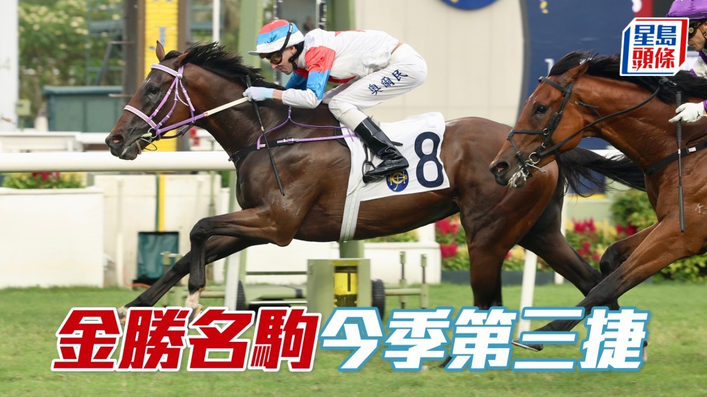 「金勝名駒」今季第三捷