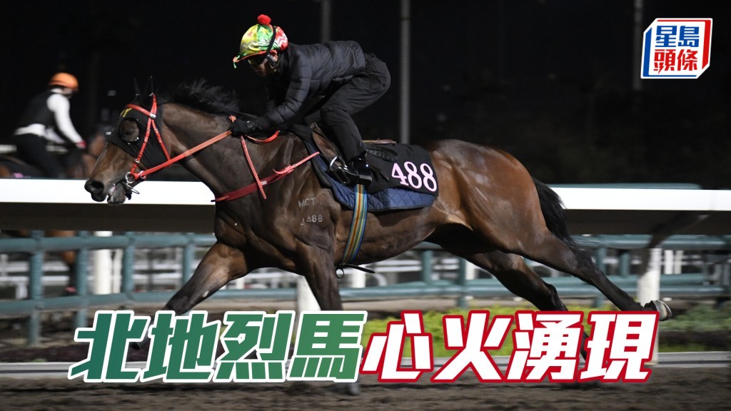 「北地烈馬」步挺力勁，未見走樣。