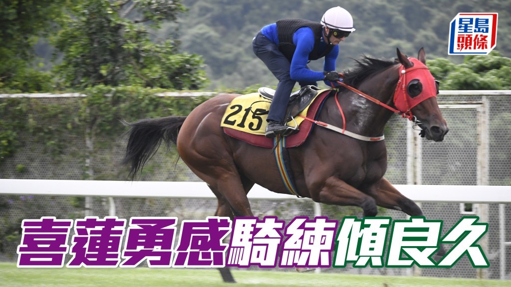 沈集成與聲仔就「喜蓮勇感」(圖) 傾了好長時間，計馬新勝猶勇近況出色，難得今仗分頭又好，寶尾追得過。