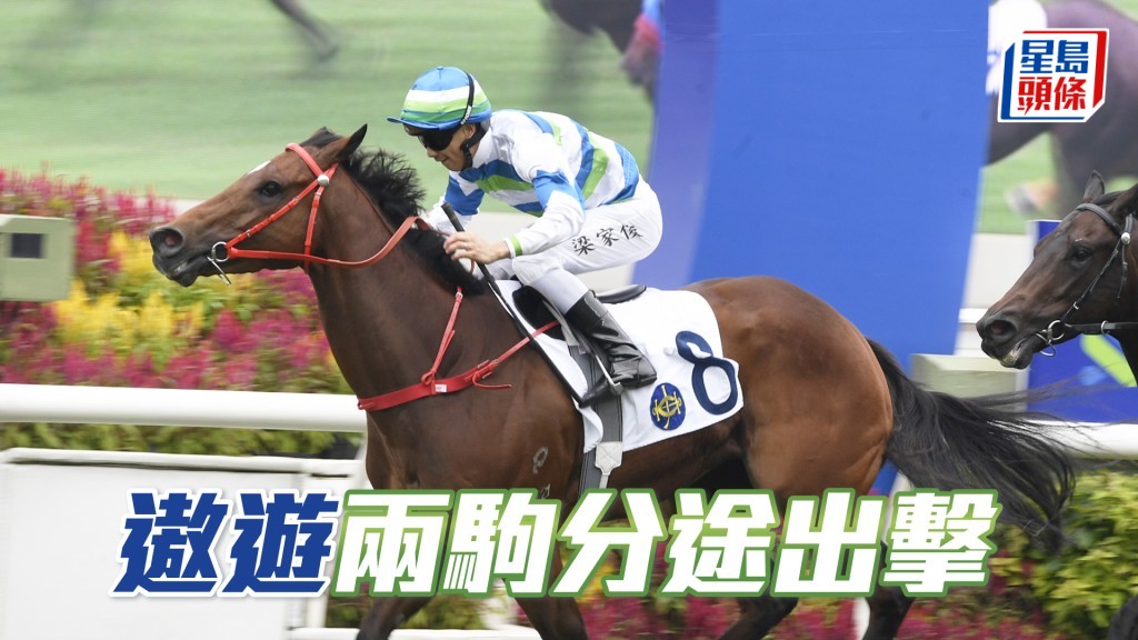 「遨遊波士」明日將出戰第三場四班千四米。
