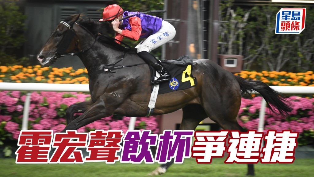 「飲杯」(圖) 今場人馬原庒配搭再戰,有力再為大馬主兼著名地產商老闆黃志祥建功。