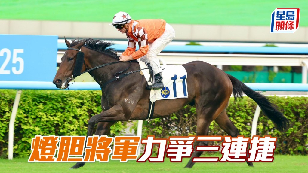 「燈胆將軍」排位較外，但若能取得遮擋，末段仍可再次交出後勁制勝。