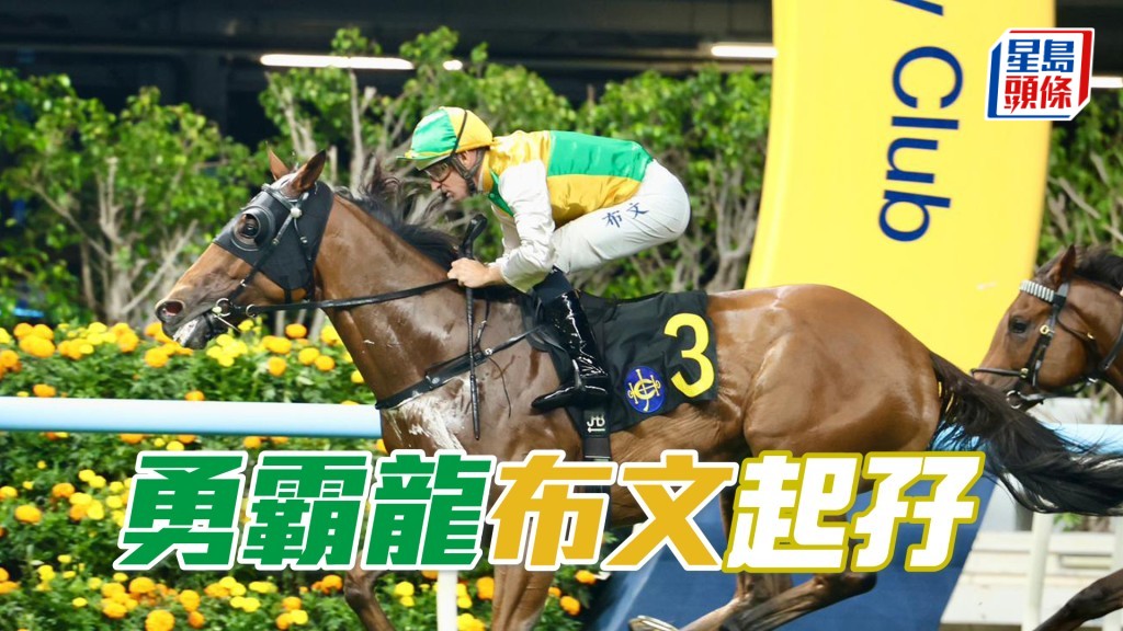 「勇霸龙」布文起孖