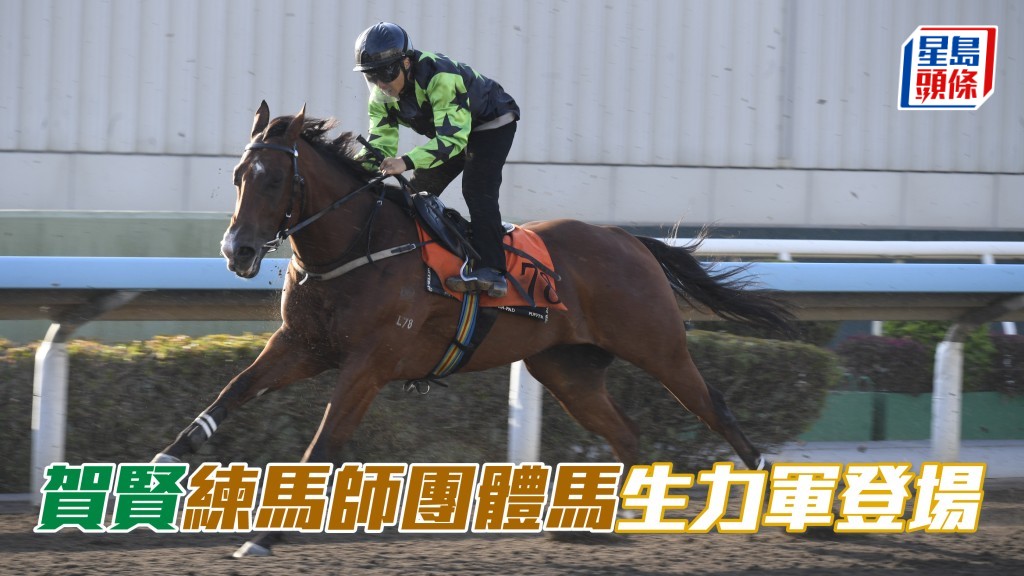 賀賢今季的練馬師團體馬「賢者福星」（圖）將在港初出，出爭第七場三班一千米。