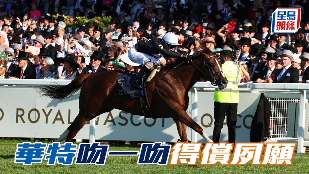 馬場浮世繪｜華特「吻一吻」得償夙願 資料圖片：香港賽馬會（Focus on Racing）