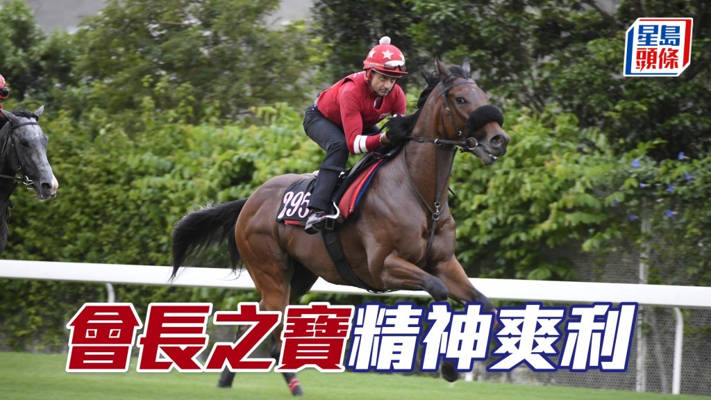 「會長之寶」步履輕盈又爽勁，充滿朝氣。