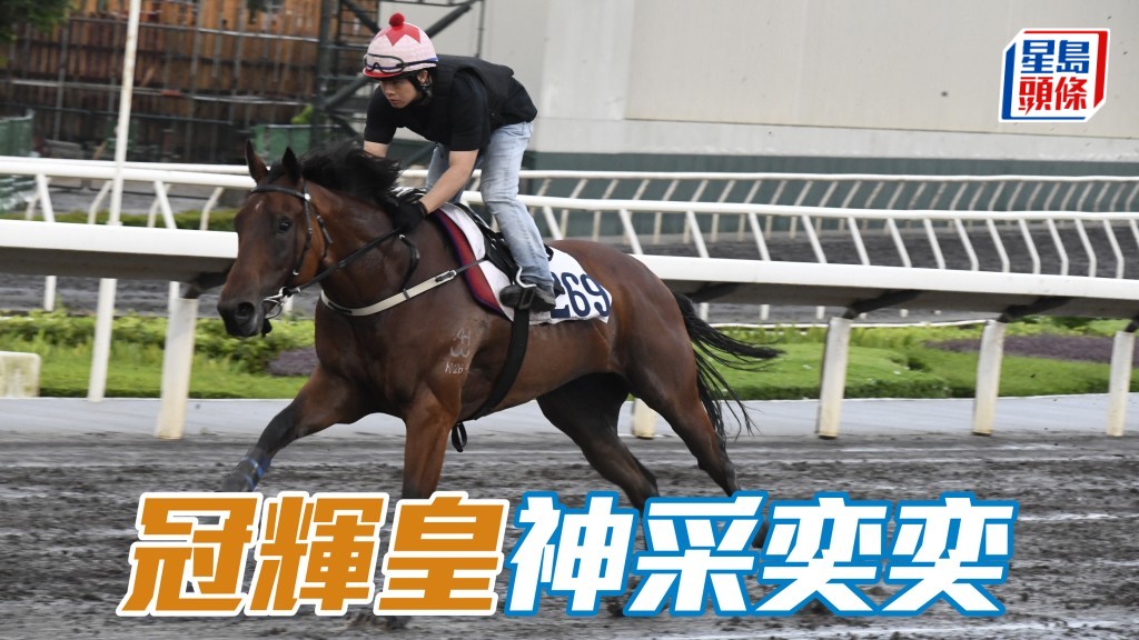 「 冠輝皇」神采奕奕
