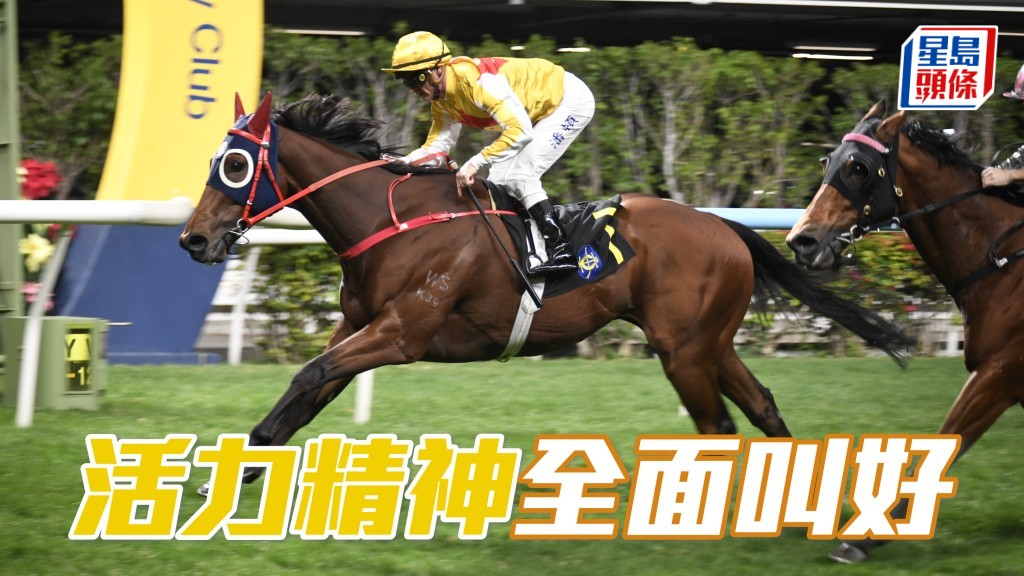 「活力精神」前仗贏馬水準高，近來晨課勇銳，今仗配布文有贏馬本錢。