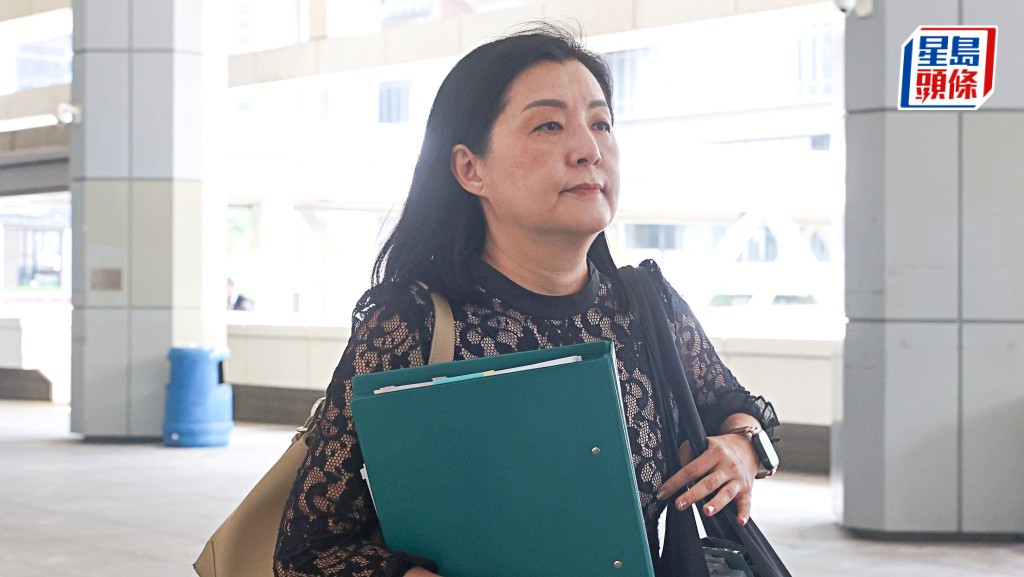 大律師陳文慧上訴指涉案FB帳戶由家人共用，但紀律審裁組無處理此論點。何家豪攝