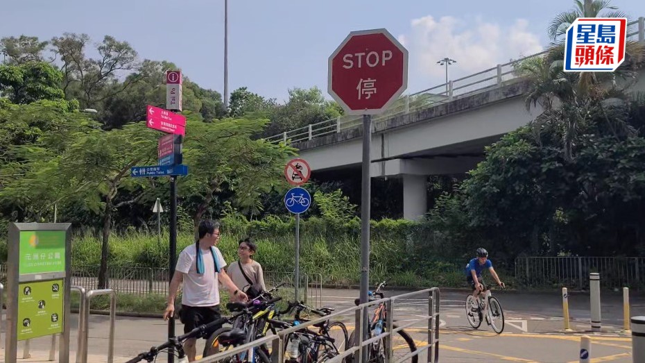 3年共接293宗交通標誌被樹木遮擋投訴  路政署研升級AI偵測  料年底投入運作