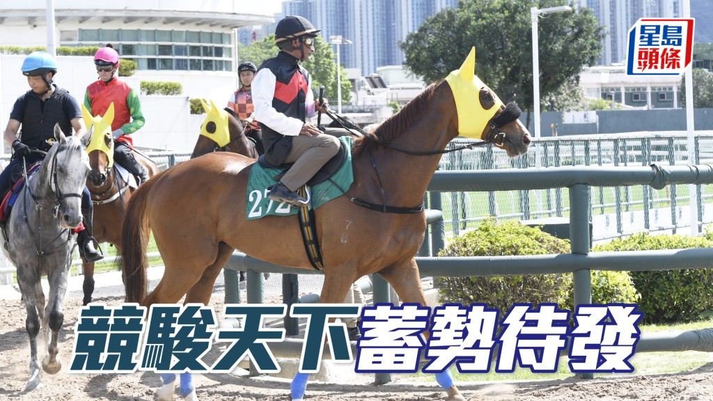 「顏色之皇」大大步從容走過，比起之前更銳利。