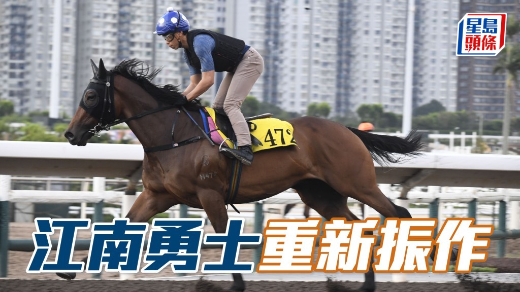 內圈捕影│「江南勇士」重新振作