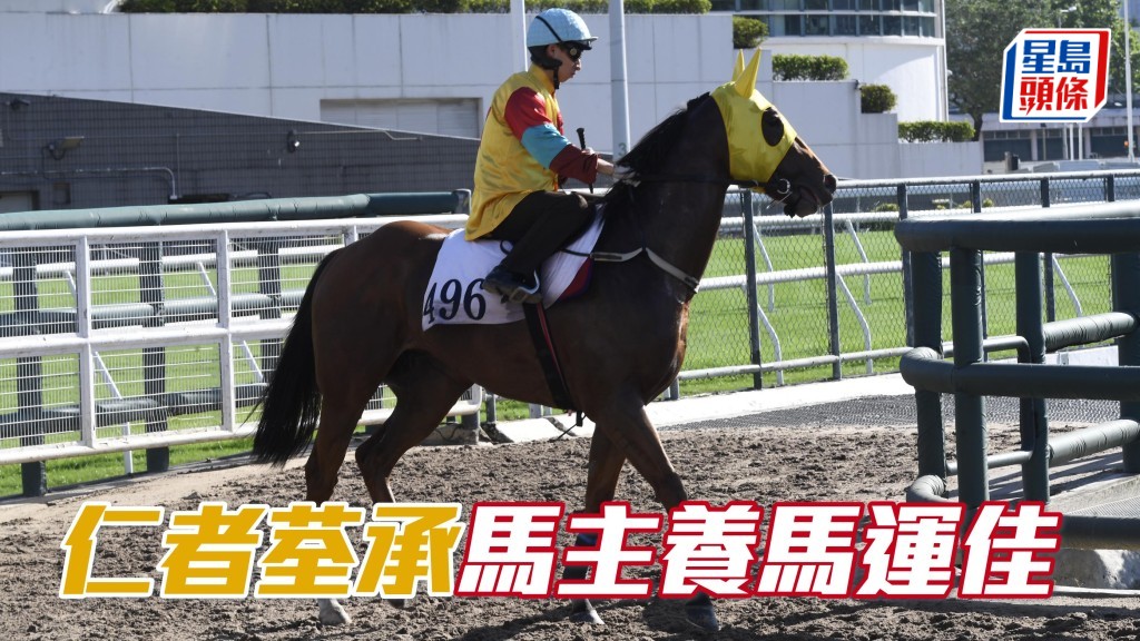 「仁者」系養馬運不錯,且看同主馬「仁者荃承」能否帶來驚喜。