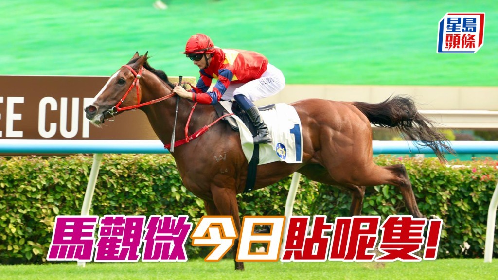 「醒目高球」完全夠班