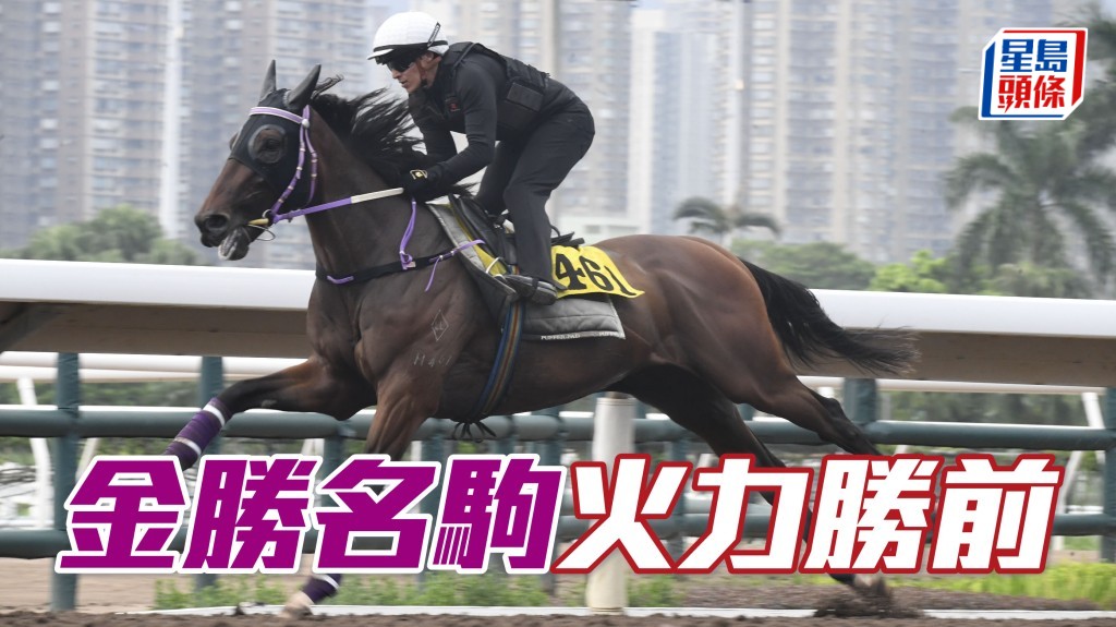  「金勝名駒」戴頭罩由董明朗跳三段，豎尾走乃指定動作，神情集中步伐穩健，火力更比前時好。