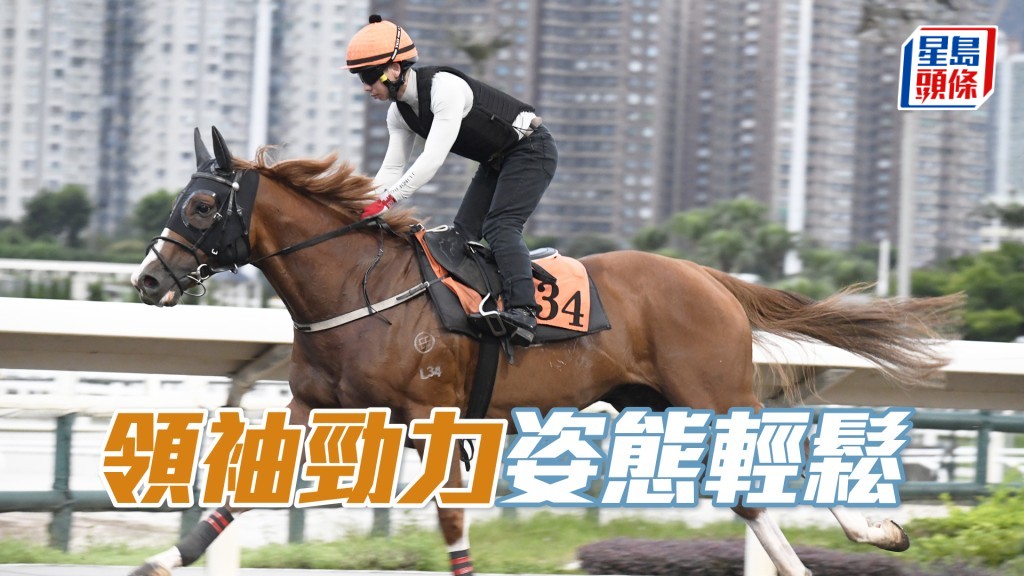 「领袖劲力」出脚爽朗，勇况已备。