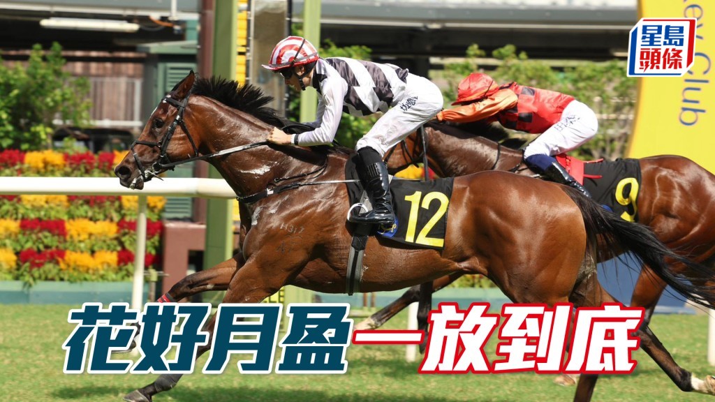 「花好月盈」一放到底