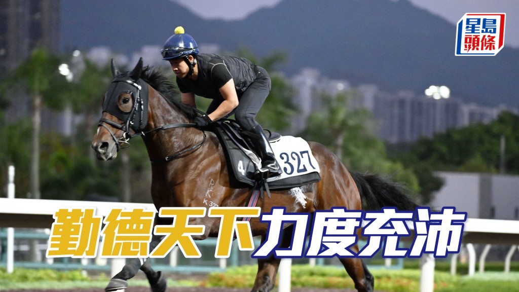 「勤德天下」马身依旧咁靓，神采奕奕长期省镜。
