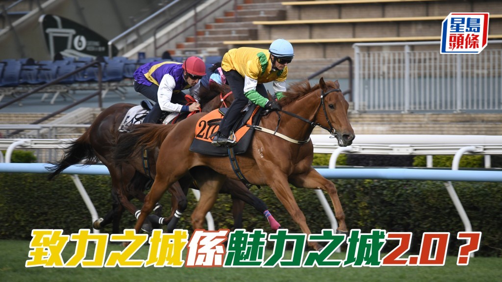 凌基伟名下的「致力之城」(图) 交由希斯训练，且看能否成为「魅力之城」2.0？