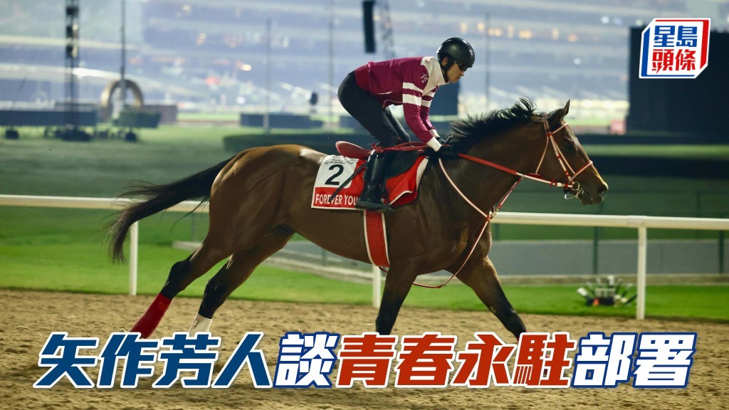 矢作芳人表示「青春永駐」(圖) 明年二月的沙特盃，以及三月的杜拜世界盃，均在其下仗目標之列。