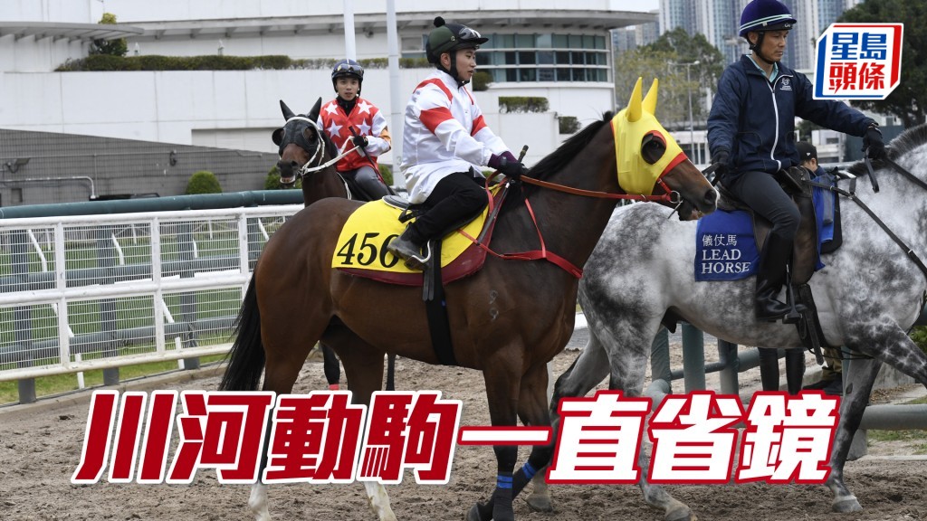  「川河動駒」全程搶走心火湧現，雙目炯炯有神。