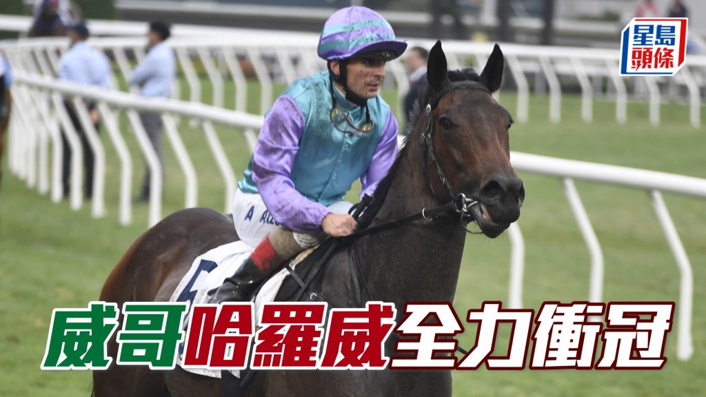 「哈羅威」今仗抽到一檔，如際遇順利當可為威哥衝冠作出貢獻。