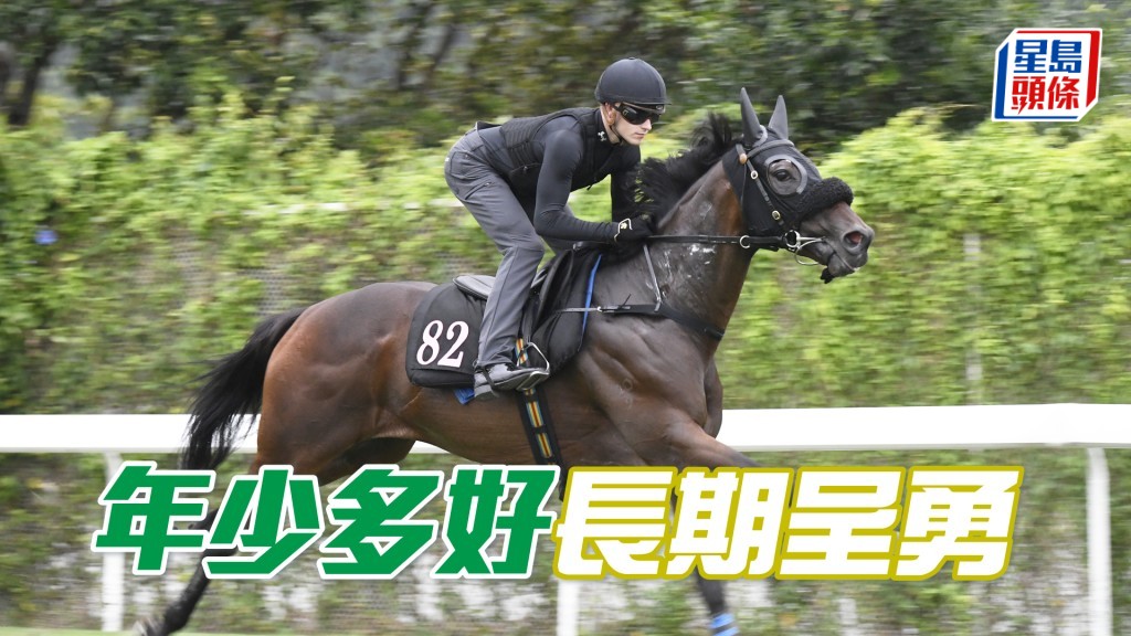 「年少多好」雙耳烔烔目光銳利，神生步爽展現霸氣。