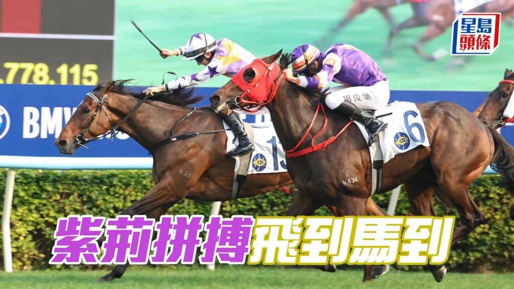 「紫荆拼搏」飞到马到