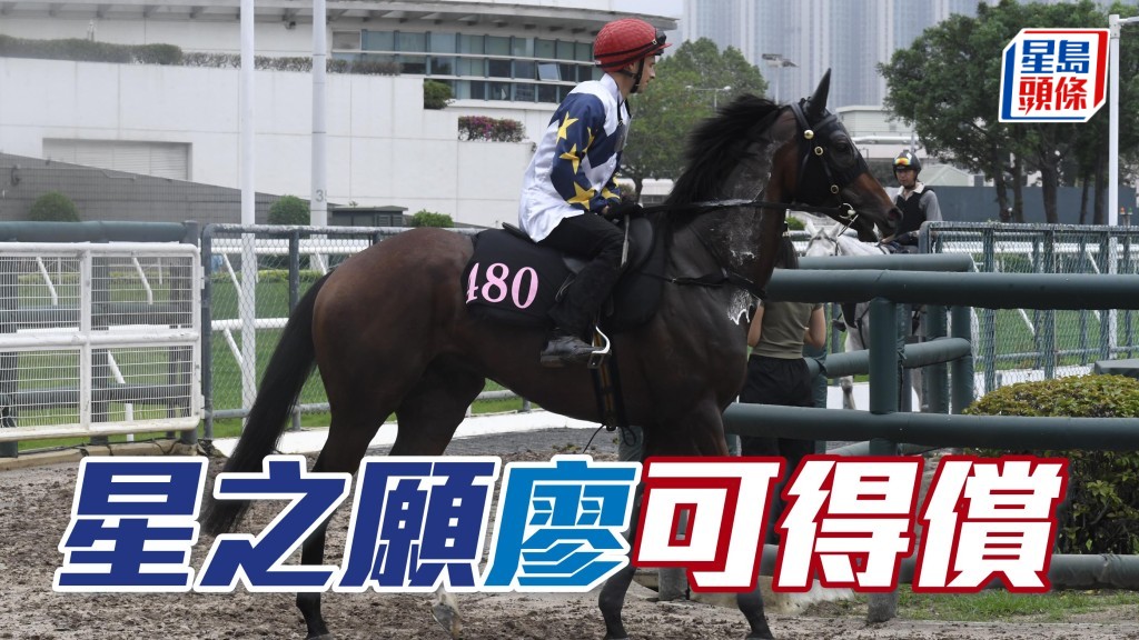 「星之願」是次喜遇弱組，全力爭出頭。