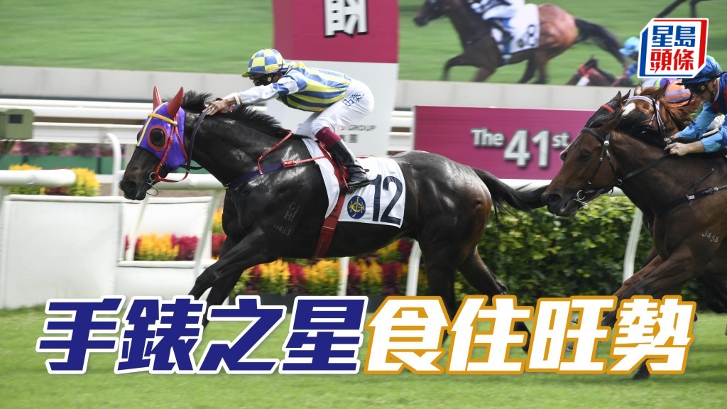 「錶」系養馬運正旺，同主馬「手錶之星」(圖) 周日出戰第三場賽事，或有力接捧繼續贏馬。