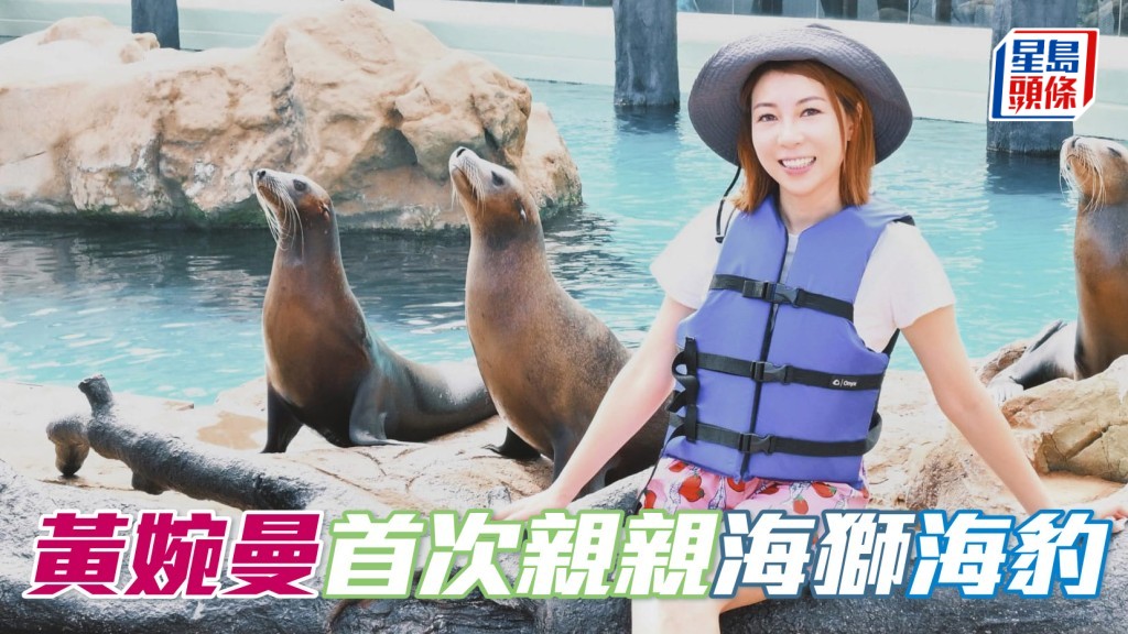 黃婉曼海洋公園親親海獅海豹 相片來源：黃婉曼ig