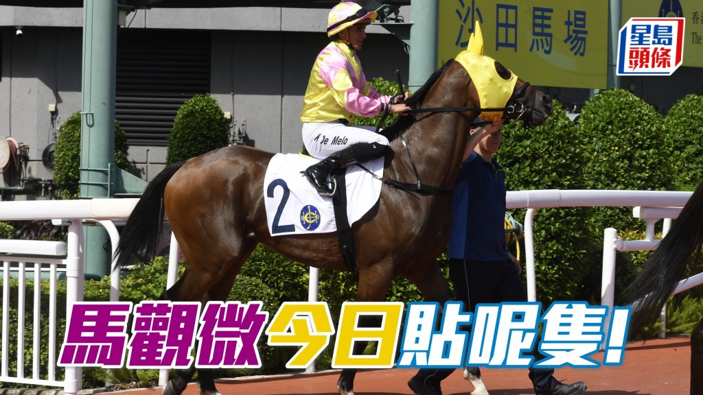 「做好自己」也文也武