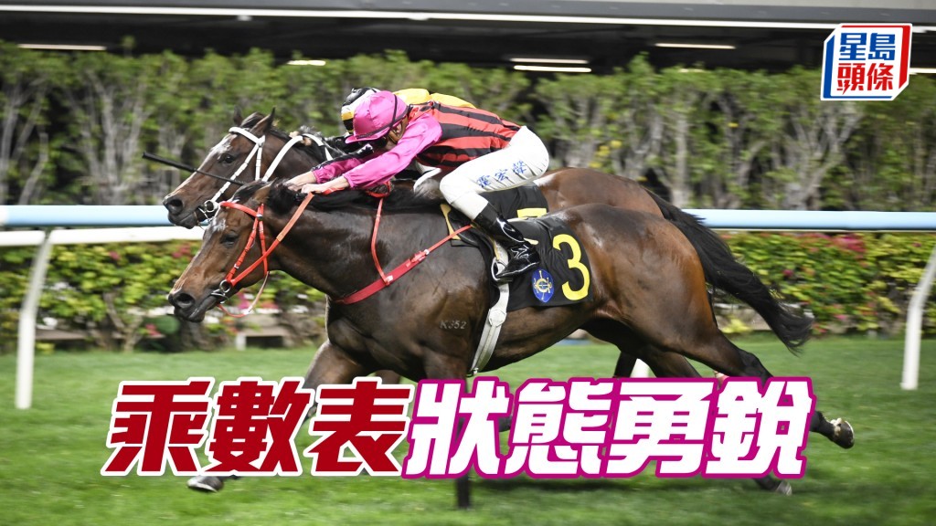 蕭劍新希望「乘數表」今場取位暢順一點，可以跑出應有水準。