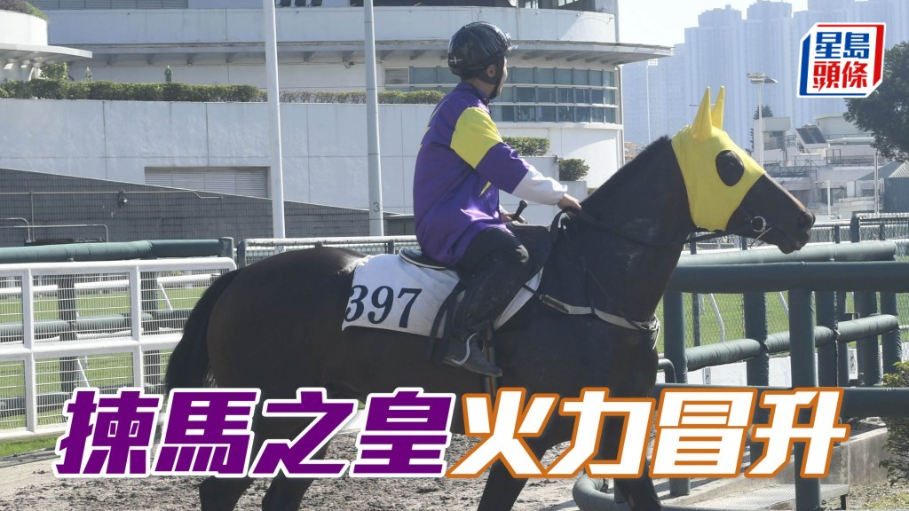 内圈捕影│ 「拣马之皇」火力冒升