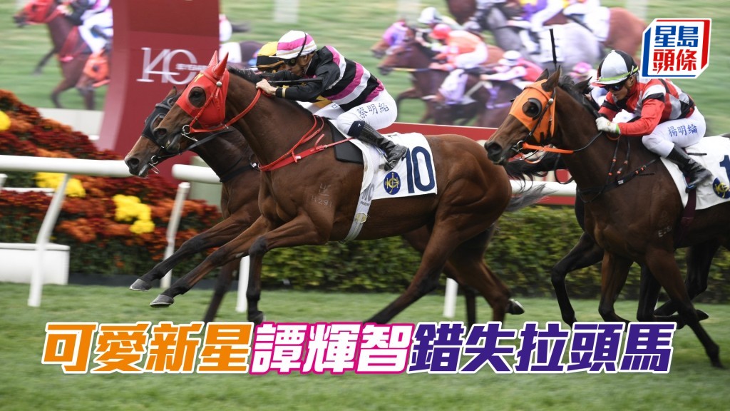 「可愛新星」譚輝智錯失拉頭馬