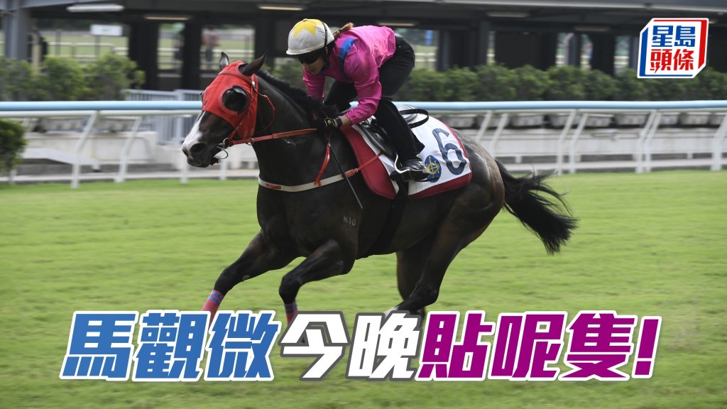 「連連幸運」好事頓成