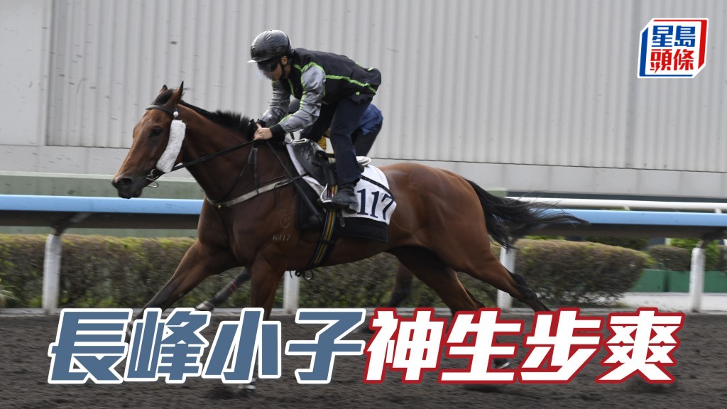 「長峰小子」豎起雙耳目光銳利，神生步爽充滿朝氣，外觀亦省鏡，狀態比起贏馬一仗更吸引。