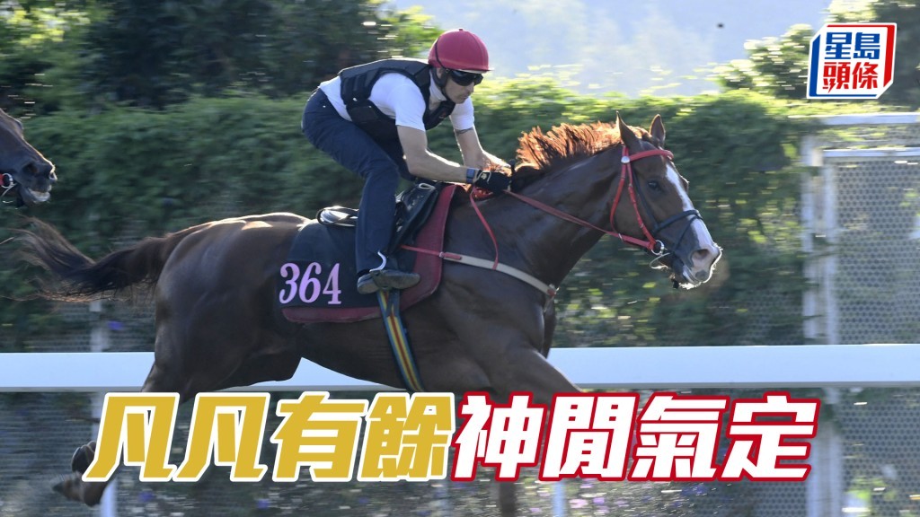 「凡凡有餘」愈來愈放鬆，步順貫注力強。