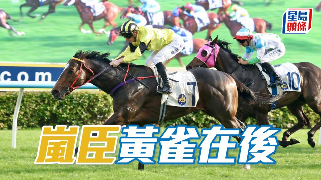 「岚臣」今仗对手不乏快马，本身黄雀在后可一攻而破。