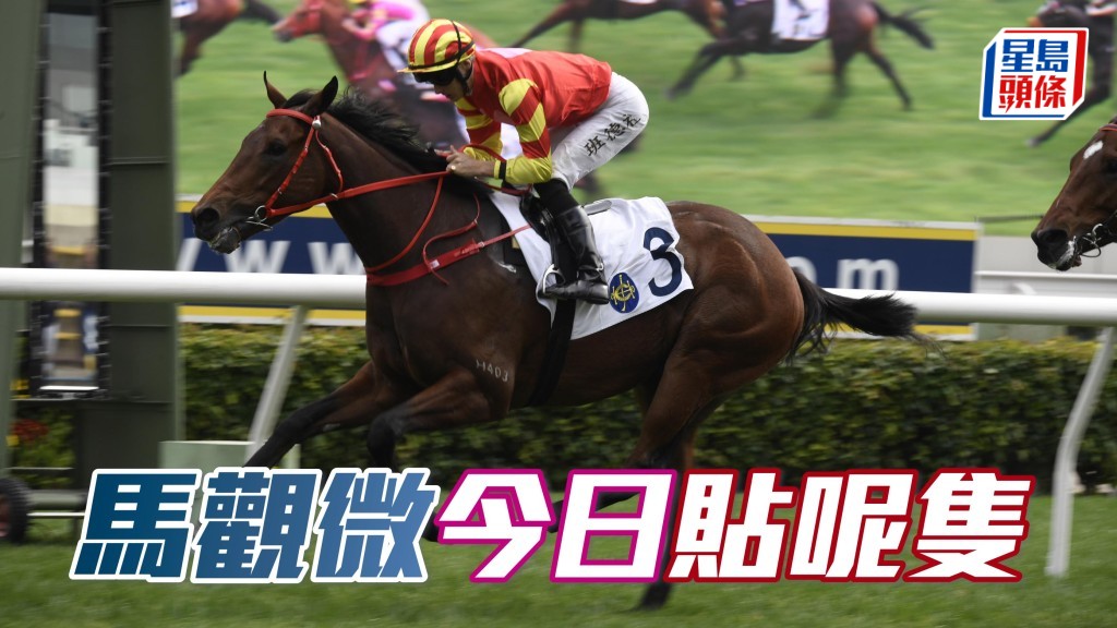 「時間寶」今仗列陣第三場五班谷草千二，排得二檔好位，可望在何澤堯胯下取得離開葉廄後的首場勝利。