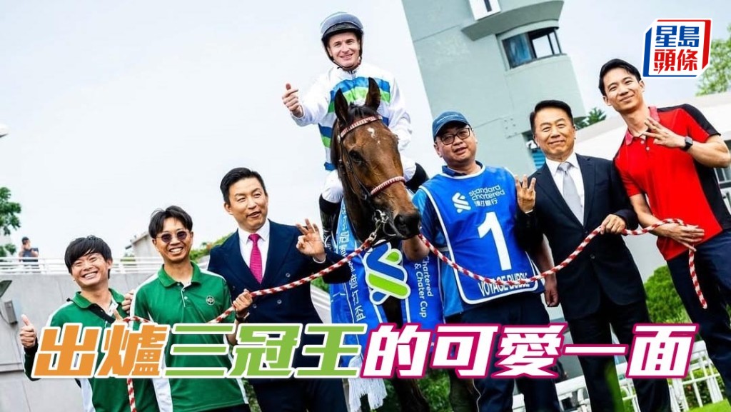 三冠王「遨遊氣泡」賽後返馬房後，展示其可愛的另一面。相片來源： 馬會官方Ig短片截圖
