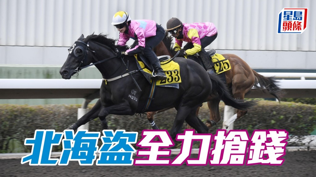 「北海盜」乃谷戰能手，今場配潘頓可再贏四班賽。