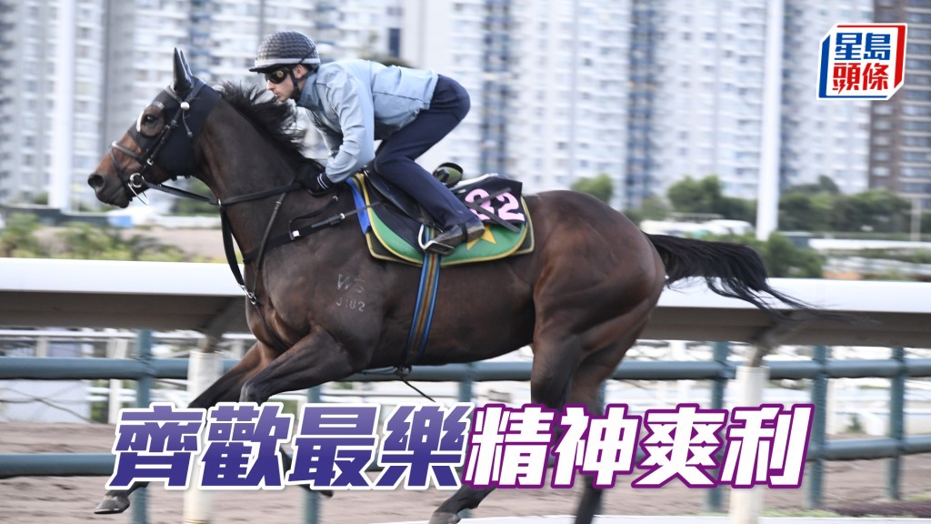 「齊歡最樂」步順輕快有彈力,馬身越見實淨。