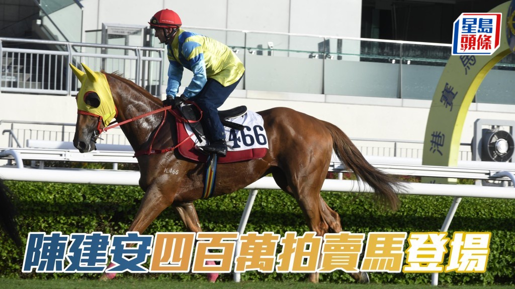 沈集成和陳建安在香港拍賣會以400萬投得「大太陽」(圖),周三將會初次上陣。