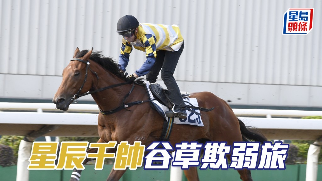 「星辰千帥」前仗第二水準高，今次回師谷草有望出頭。