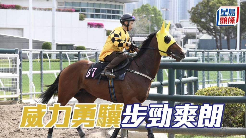 「威力勇驥」神態仍佳論態出色。